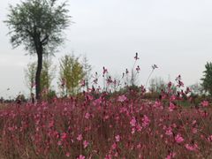 -汉长安城未央宫国家考古遗址公园