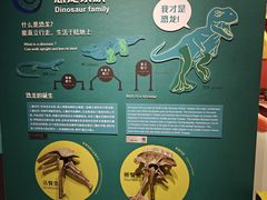 -正佳自然科学博物馆