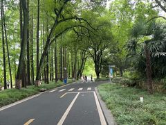 -采石矶景区
