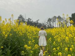 -蜀绣公园