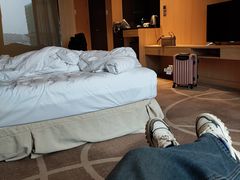 -上海虹桥西郊假日酒店