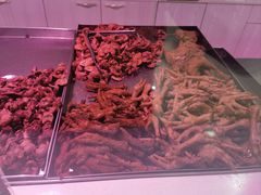 -马家老鸡店