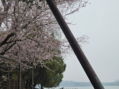 -颐和园