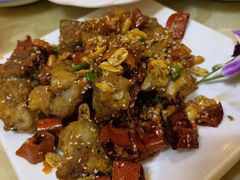 -鹤乡东北菜(崮山路店)