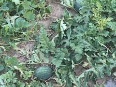 -龙达温泉生态城