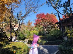 -大连金石滩绿发温泉假日酒店