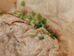 -油梨树 AVOCADO TREE(亮马桥店)