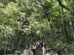 -灵顺寺