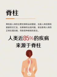-星港国际·Skin皮肤专研·皮肤管理