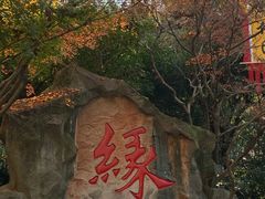 -杭州黄龙洞