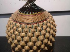 -桤木河湿地公园