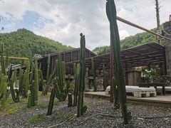 -MOJ coffee(瓯海泽雅水碓坑店)