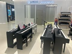 -雅马哈乐器专卖店(广州旗舰店)