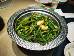 -来相会饺子·新辽菜(甘家口店)
