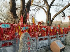 -大槐树寻根祭祖园