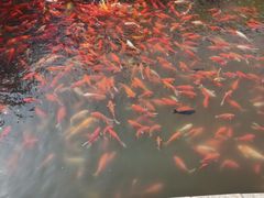 -大连植物园