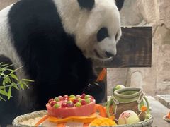 -无锡动物园·太湖欢乐园