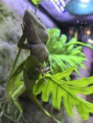 -酷嗒动物文化乐园(cutezoo西溪乐天城店)