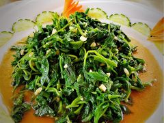 凉拌情人菜-途肴·老农饭庄(百里峡店)