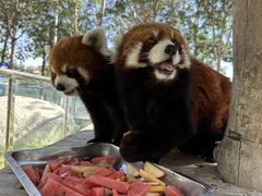 -水上乐园·欢乐世界