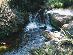 -中国茶叶博物馆(双峰馆区)
