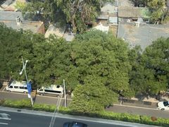 -同庆楼(金宝汇店)