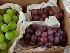 -美家乐农庄·露营·团建(大治路店)