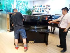 -柏斯琴行(汾阳店)