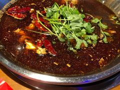 -红牌美蛙鱼头火锅(万辉国际广场店)