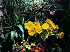 -春暖花开(西溪店)