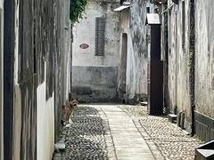 -崇仁古镇