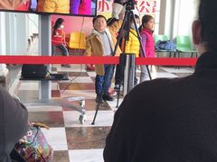 -中国福利会少年宫