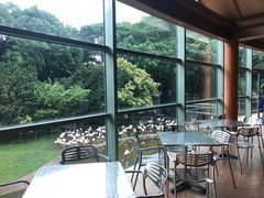 -新加坡飞禽公园