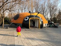 -朝阳公园游乐园