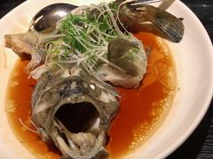 鲜露清蒸海斑鱼-五缘湾凯悦酒店·悦饗中餐厅