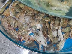 -蓝珊甄选海鲜自助·火锅大排档(近阿那亚店)
