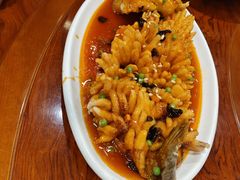 -老苏扬饭店
