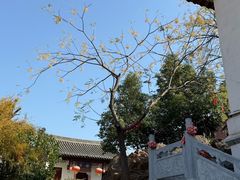 -长春观