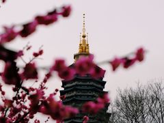 -红梅公园