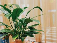 -小蓝鲸湖北菜(八一路店)