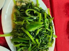 -蛇口康乐快餐鱼仔档(翠苑小区店)