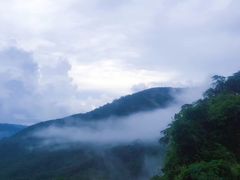 -呀诺达热带雨林