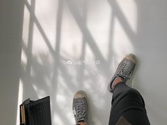 -胶囊画廊
