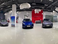 -TESLA 特斯拉(深圳观澜特斯拉直营钣喷中心)