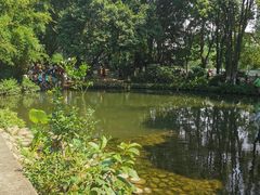 -成都市活水公园
