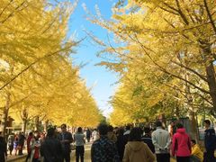 -辽宁大学(崇山校区)