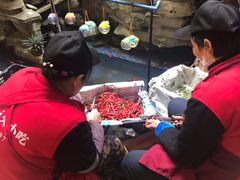 -嘉州九妹凤爪(乐山总店)