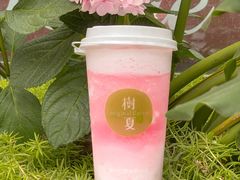 -树夏(建设路店)