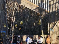 -帽儿山国家森林公园