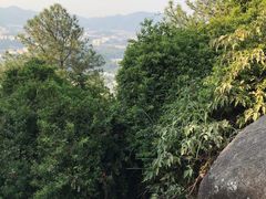 -火炉山森林公园
